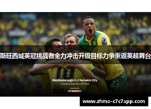 斯旺西城英冠挑战者全力冲击升级目标力争重返英超舞台 斯旺西城英冠挑战者全力冲击升级目标力争重返英超舞台