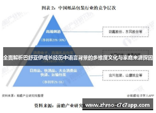 全面解析巴舒亚伊成长经历中语言背景的多维度文化与家庭来源探因