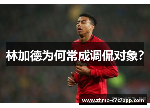 林加德为何常成调侃对象？