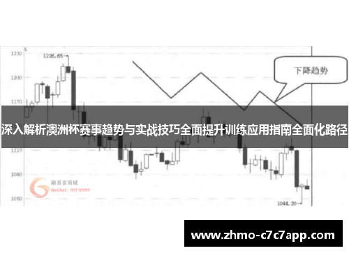深入解析澳洲杯赛事趋势与实战技巧全面提升训练应用指南全面化路径 深入解析澳洲杯赛事趋势与实战技巧全面提升训练应用指南全面化路径