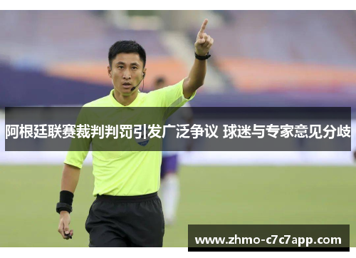 阿根廷联赛裁判判罚引发广泛争议 球迷与专家意见分歧