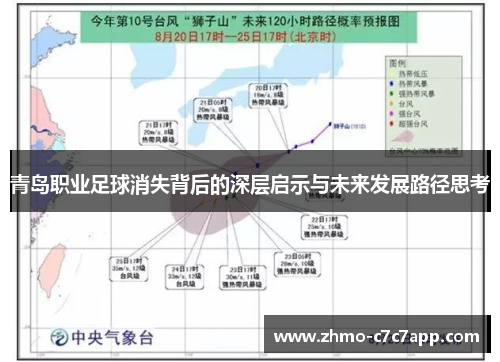 青岛职业足球消失背后的深层启示与未来发展路径思考