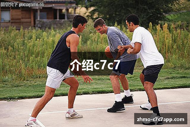 介绍c7c7